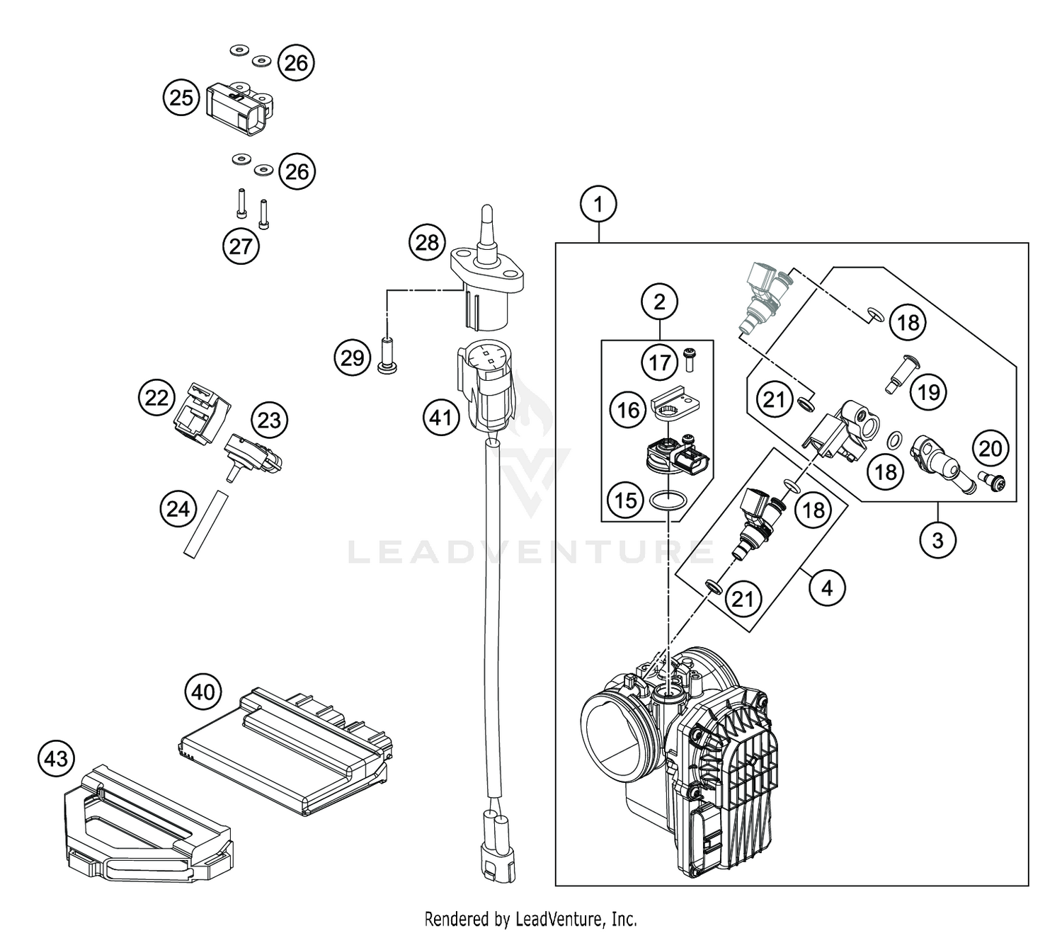 THROTTLE BODY