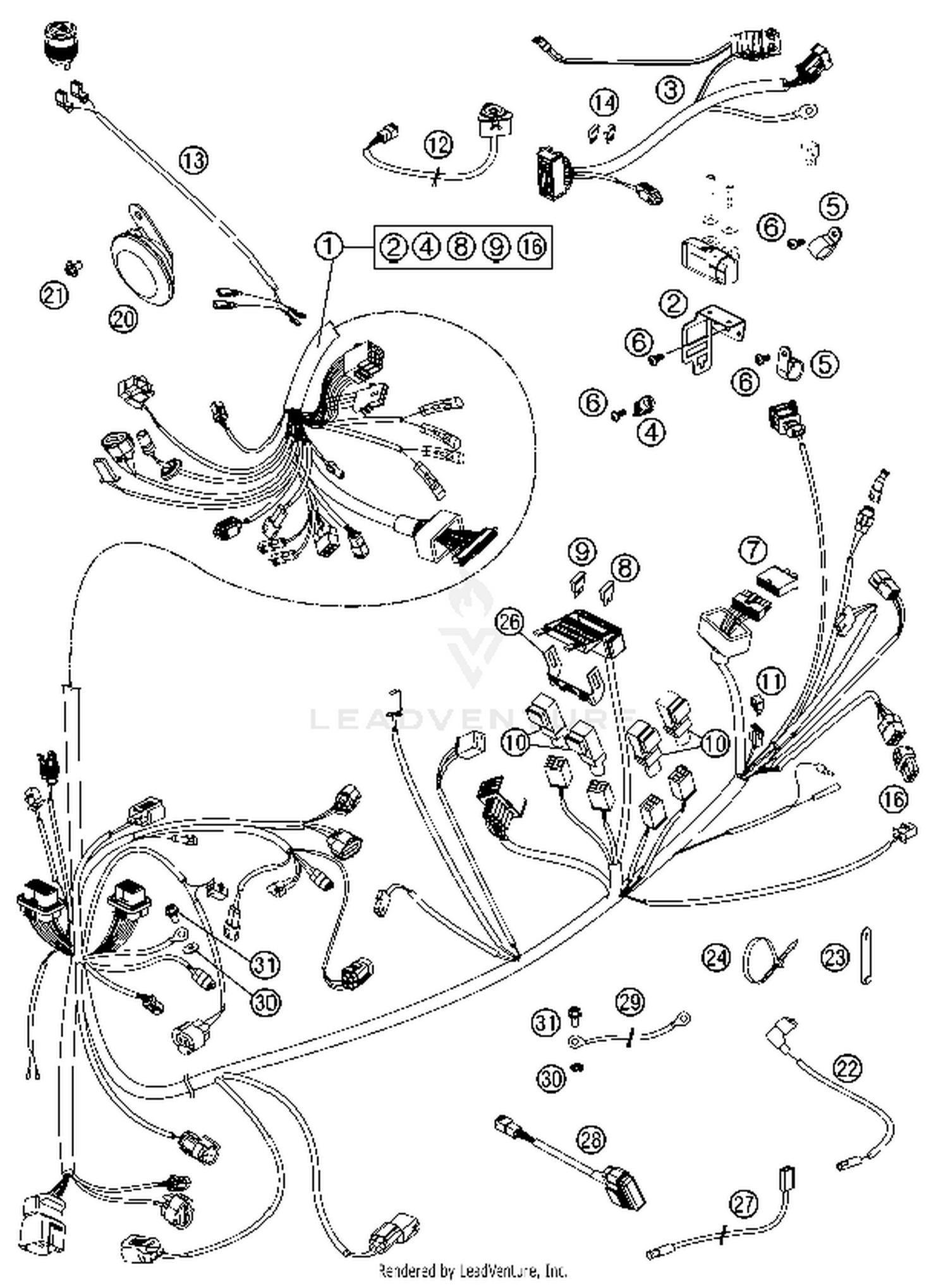 Wiring Harness