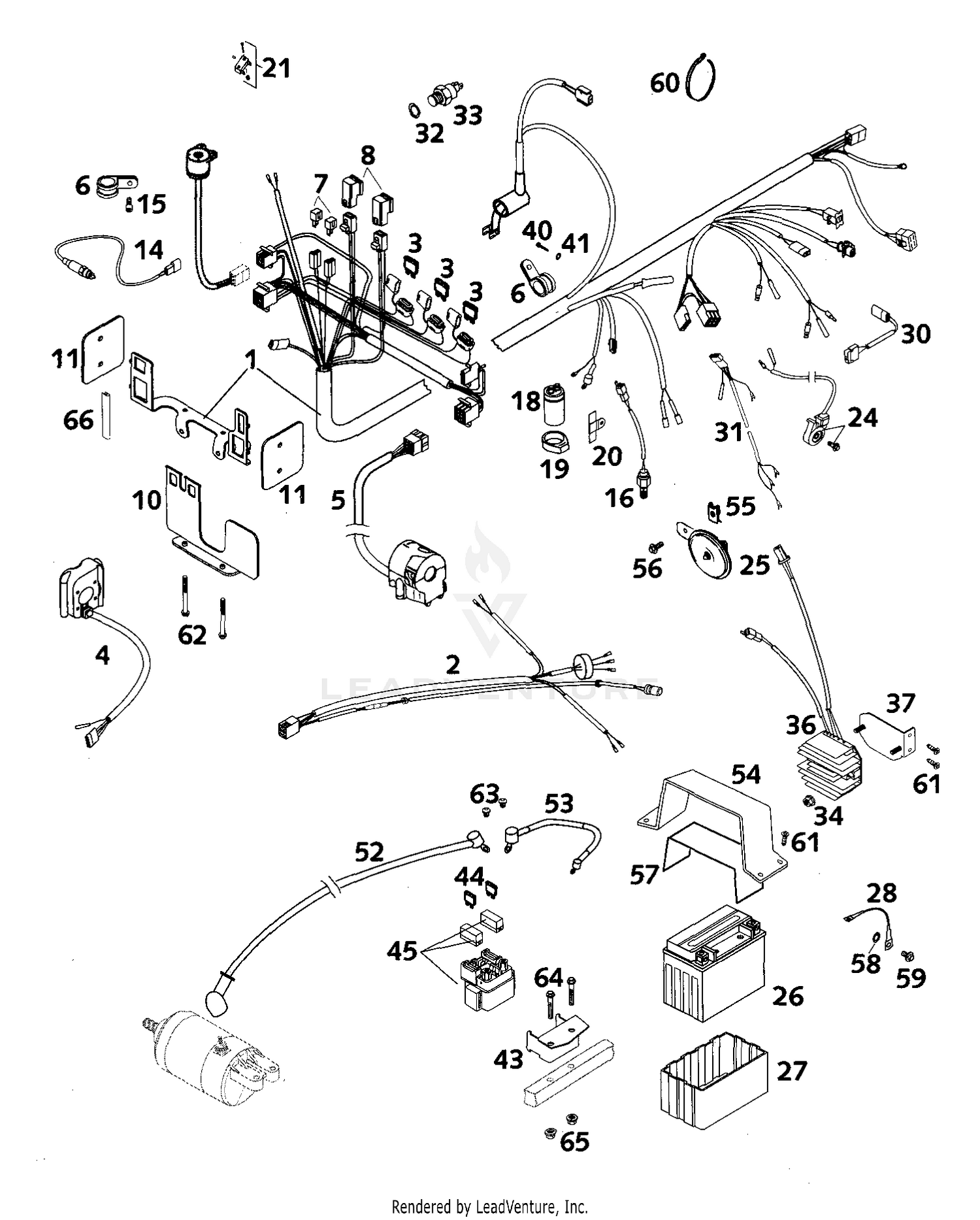 Wiring Harness