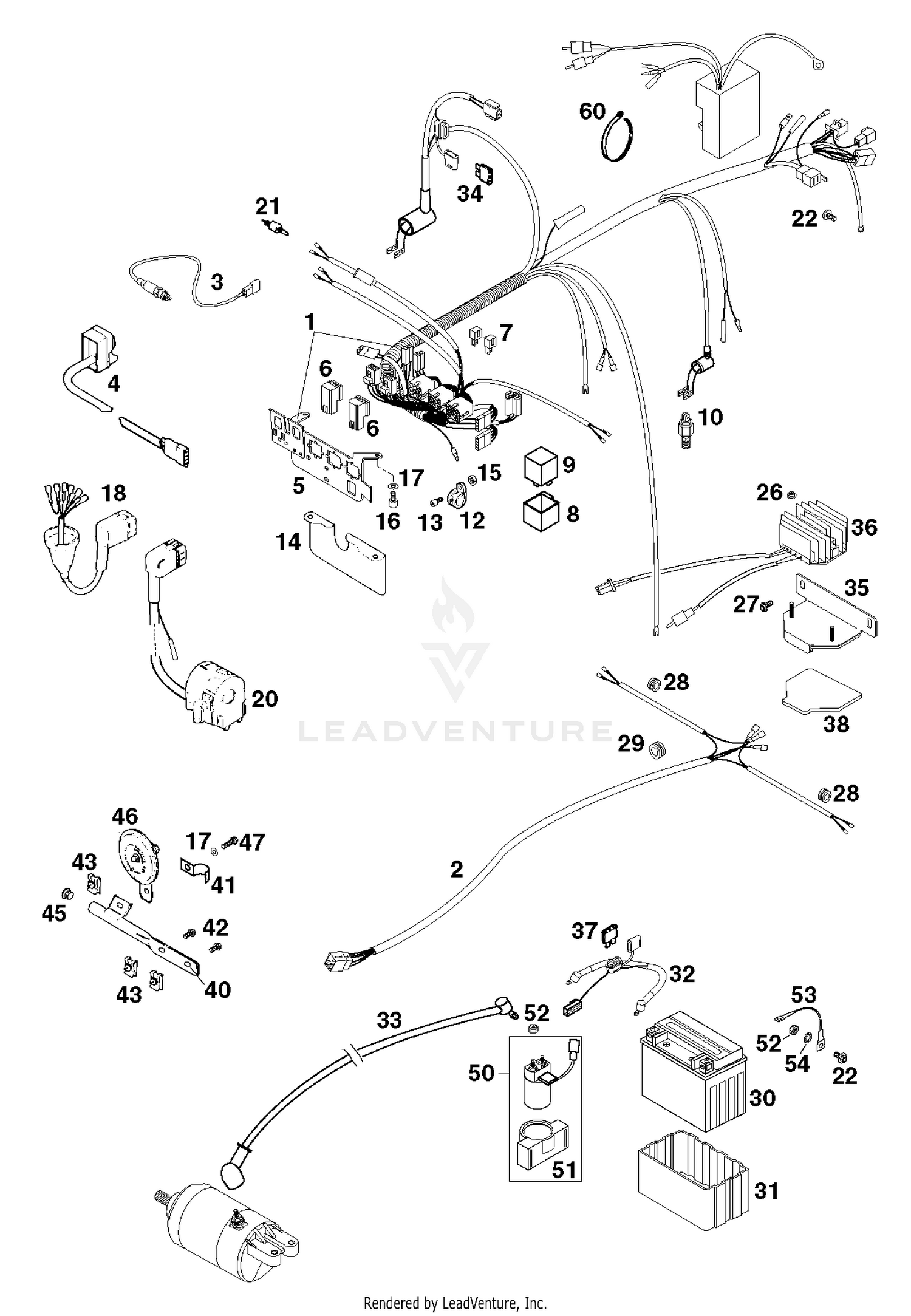 Wiring Harness
