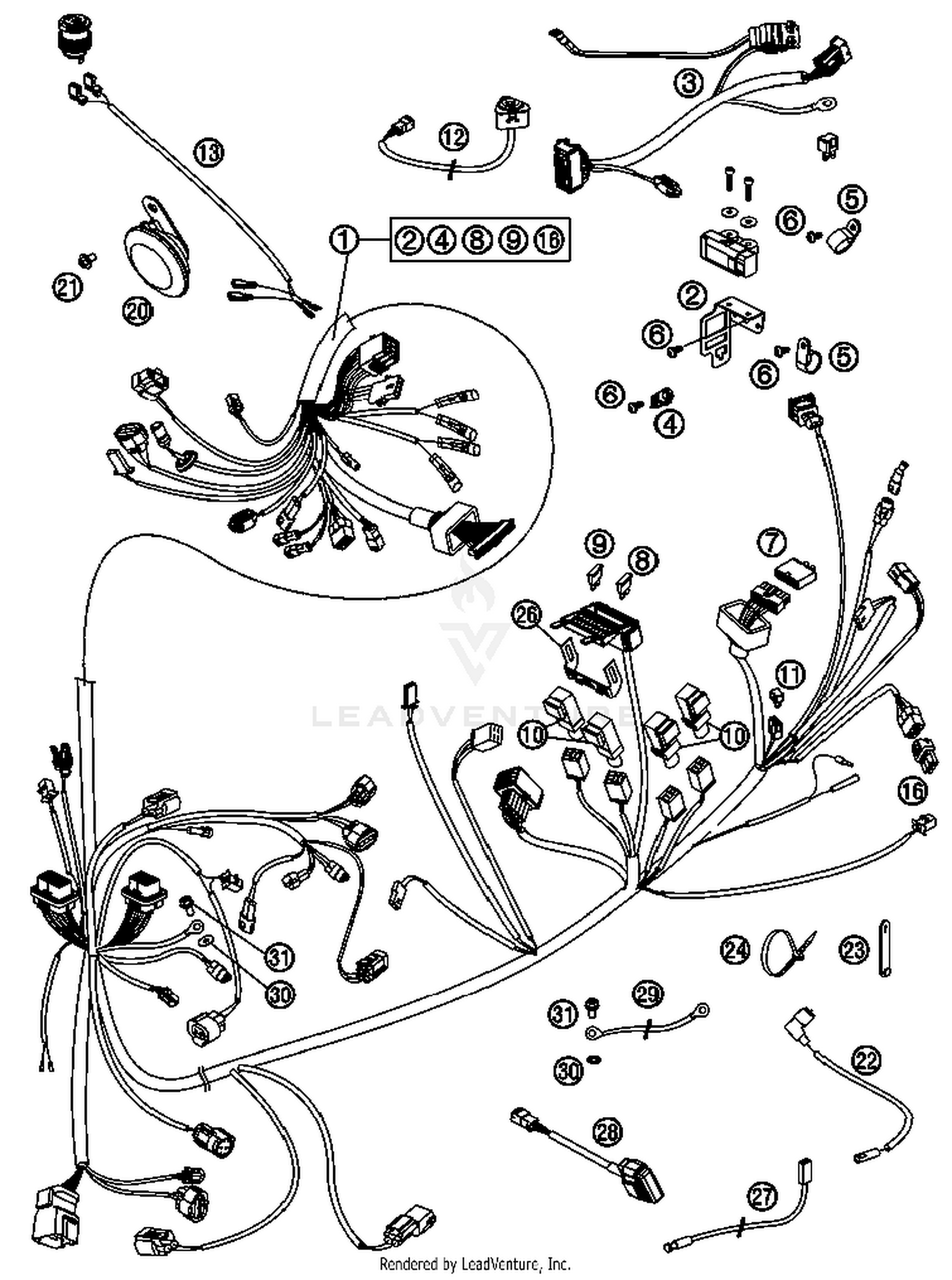 Wiring Harness