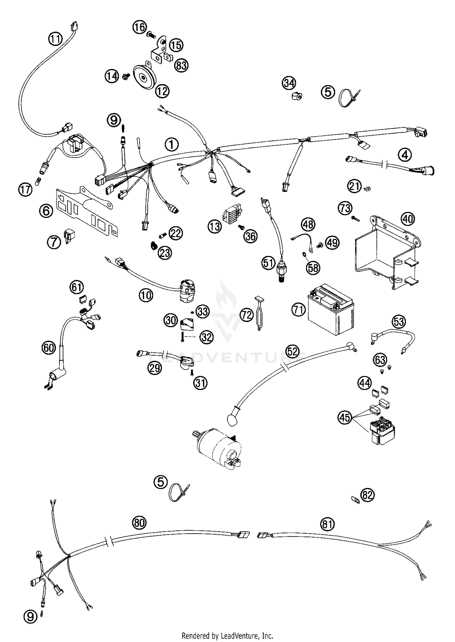 Wiring Harness (EU/AUS)