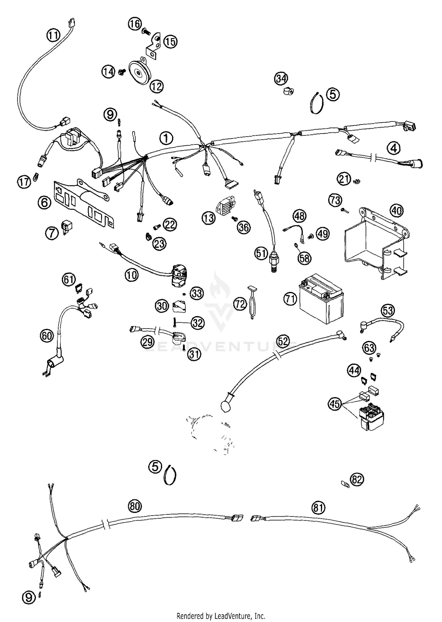 Wiring Harness (EU/AUS)