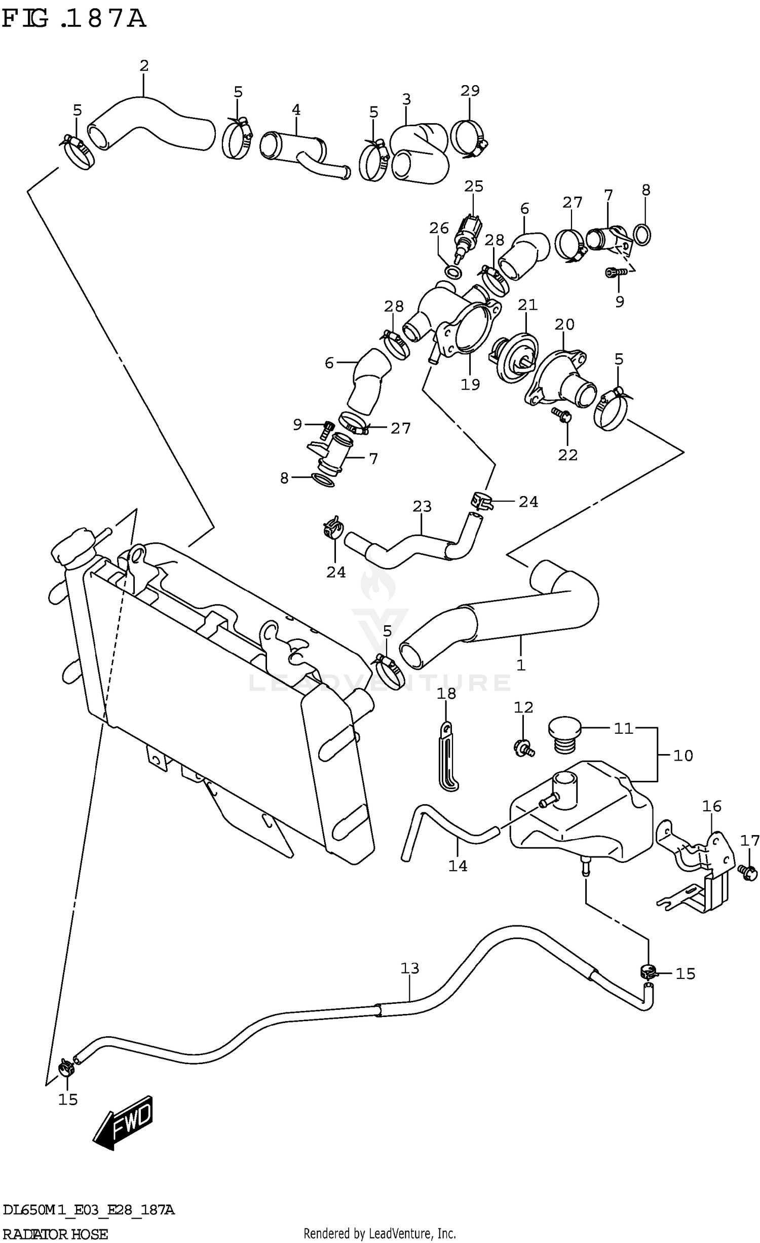 RADIATOR HOSE