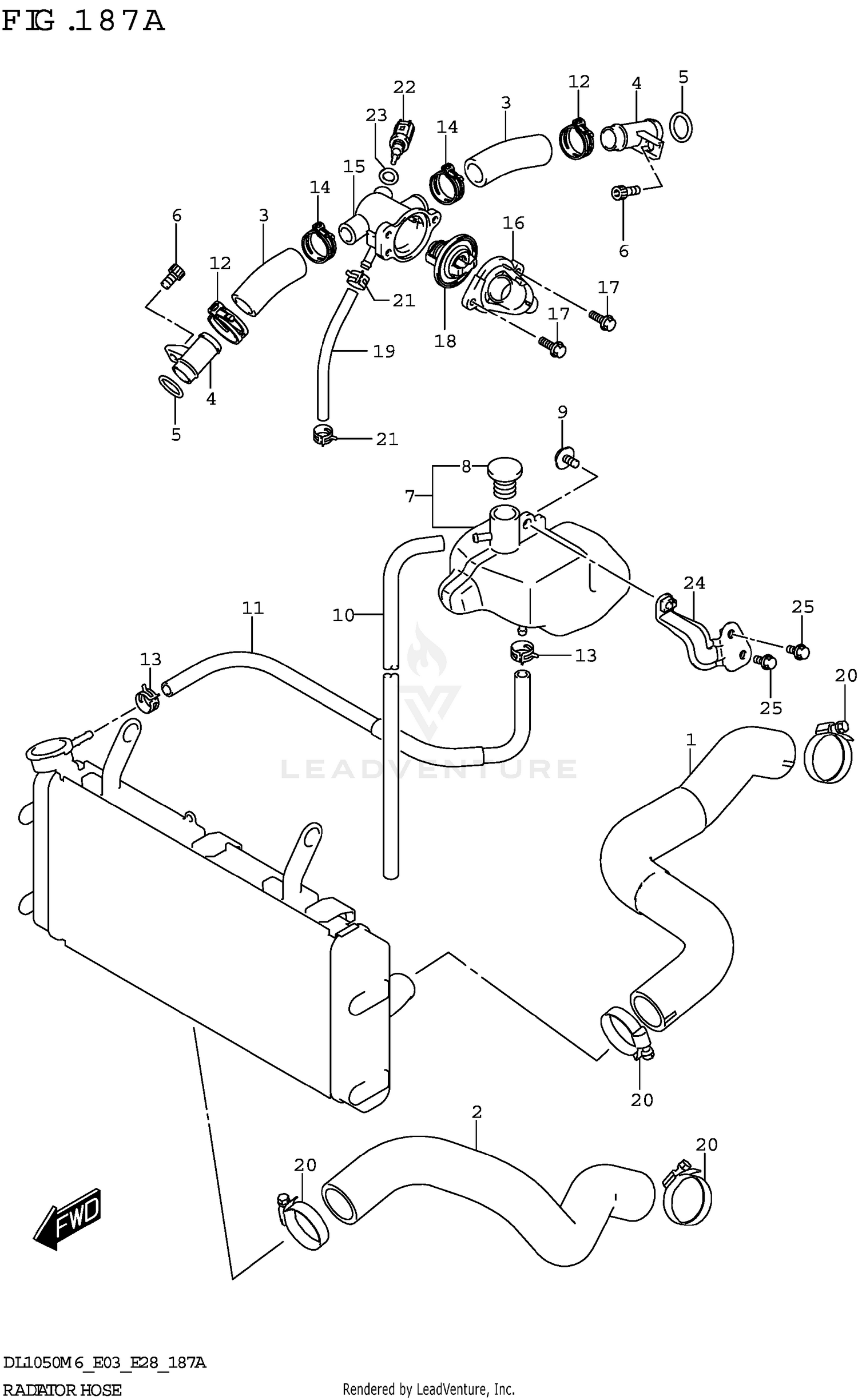 RADIATOR HOSE