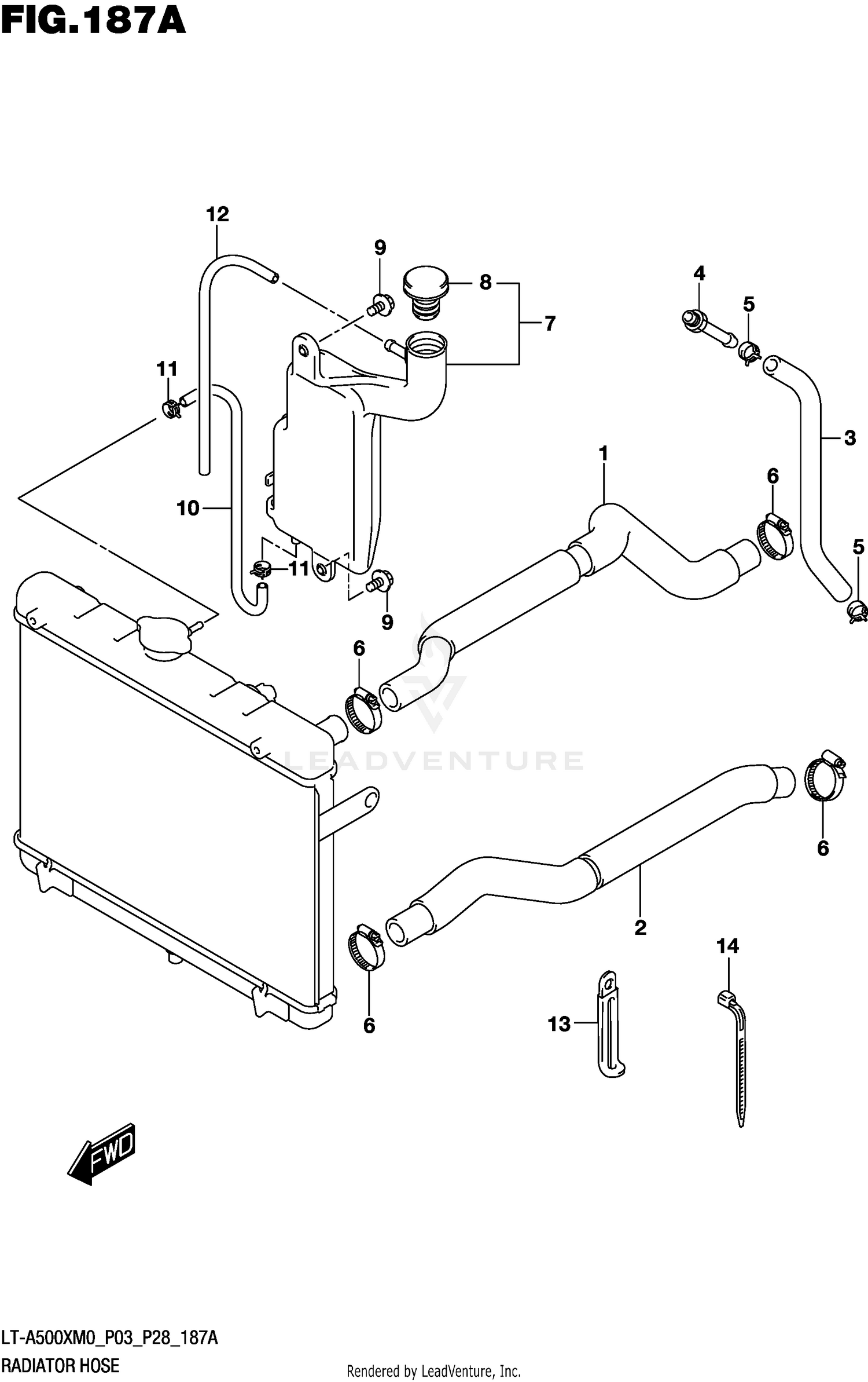 RADIATOR HOSE
