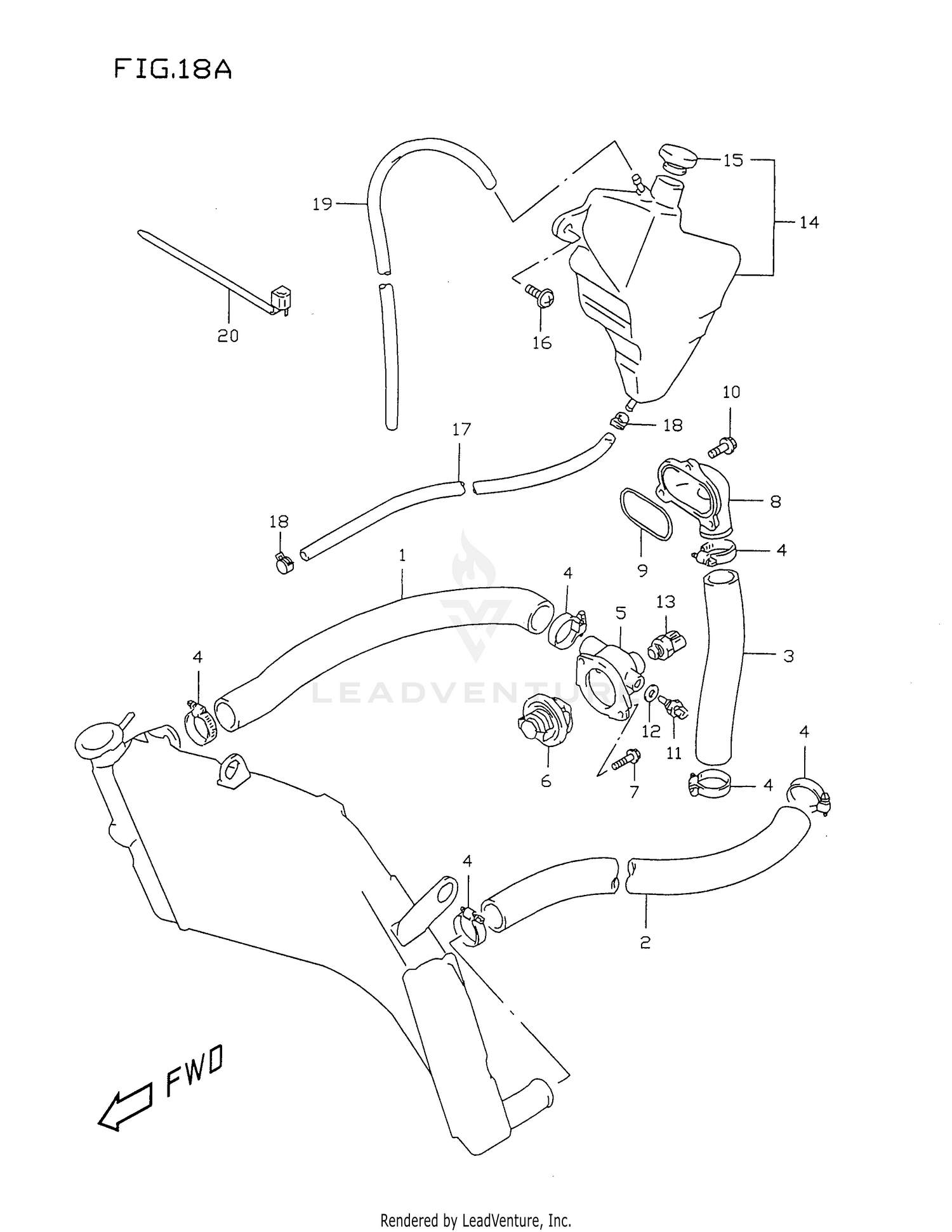 RADIATOR HOSE (MODEL W/X)