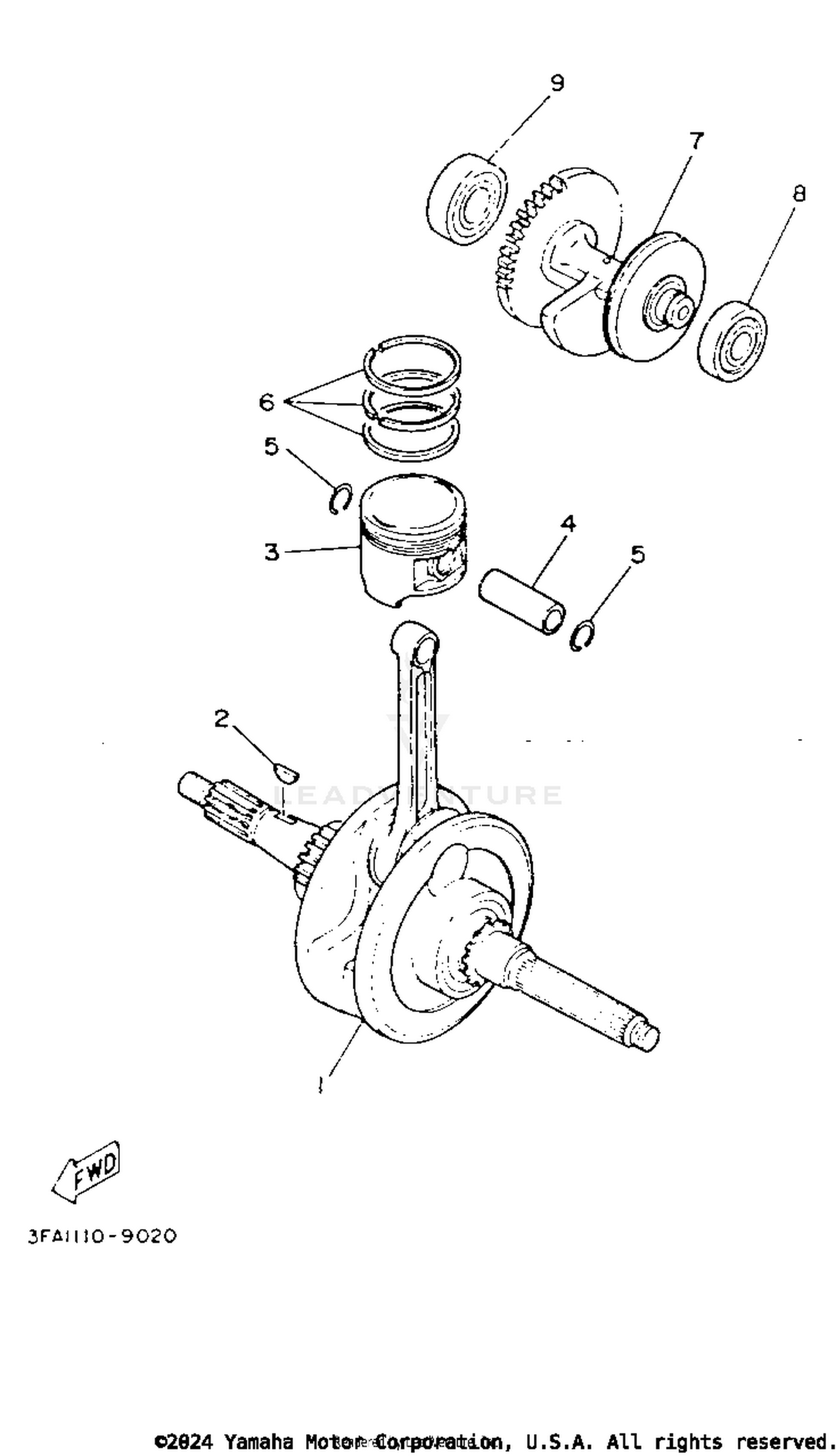 CRANKSHAFT - PISTON