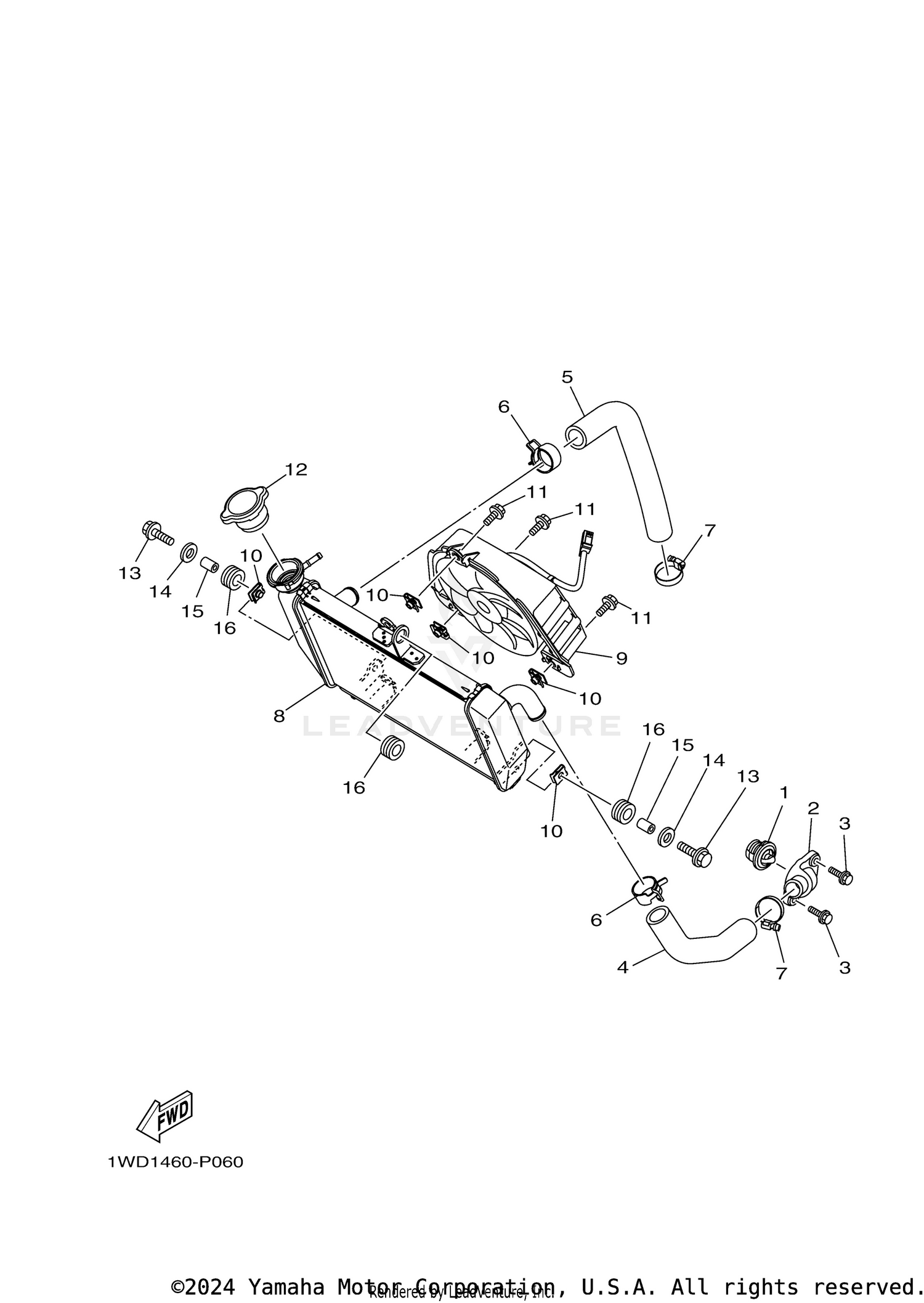 RADIATOR HOSE