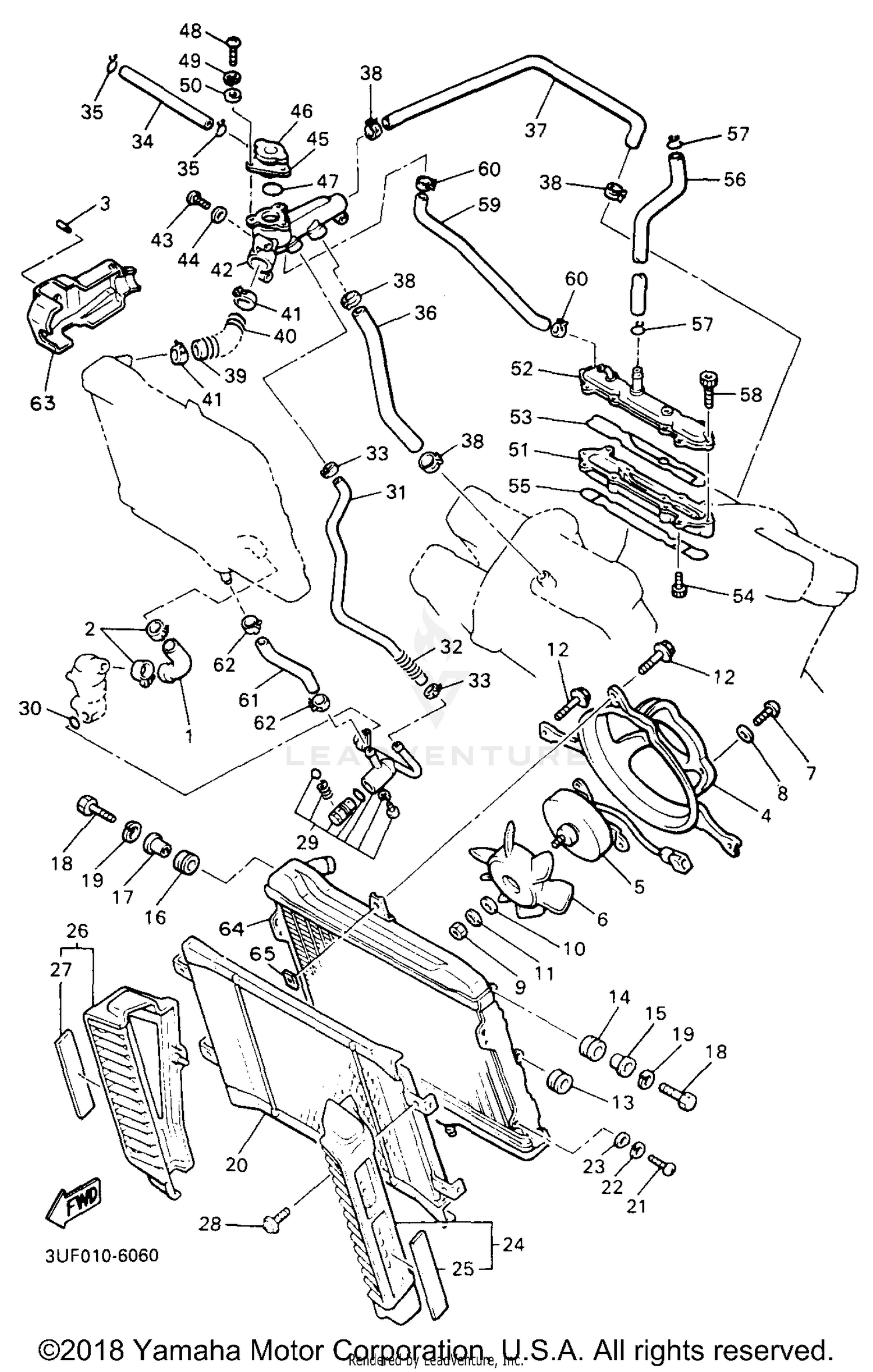 RADIATOR HOSE