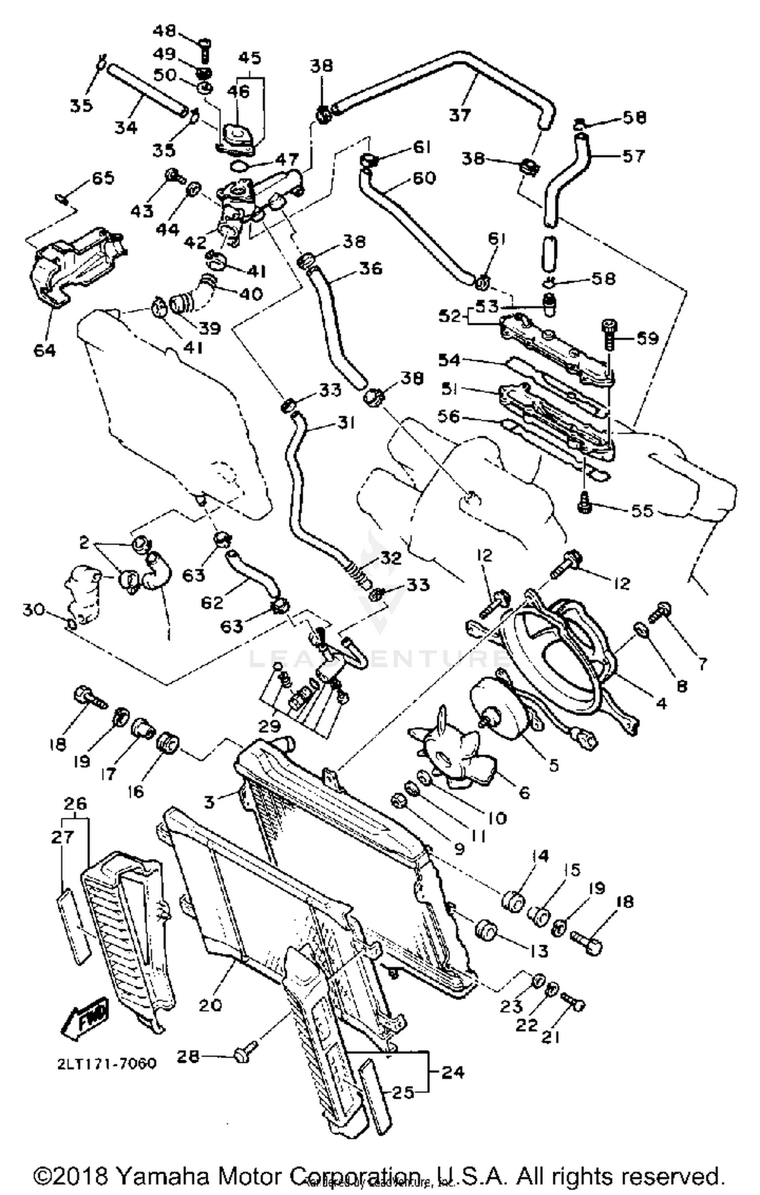 RADIATOR HOSE