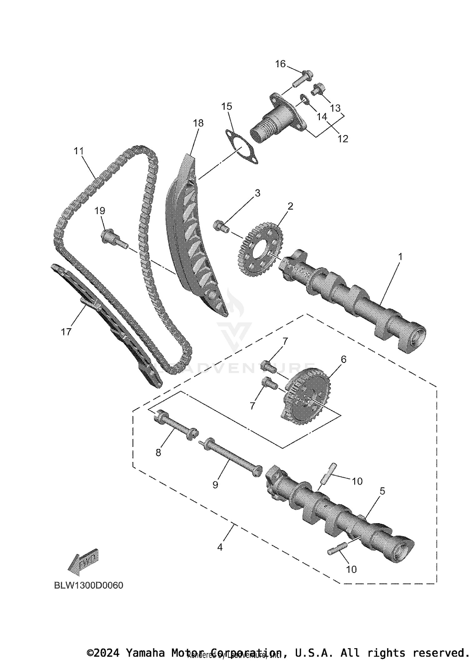 CAMSHAFT & CHAIN