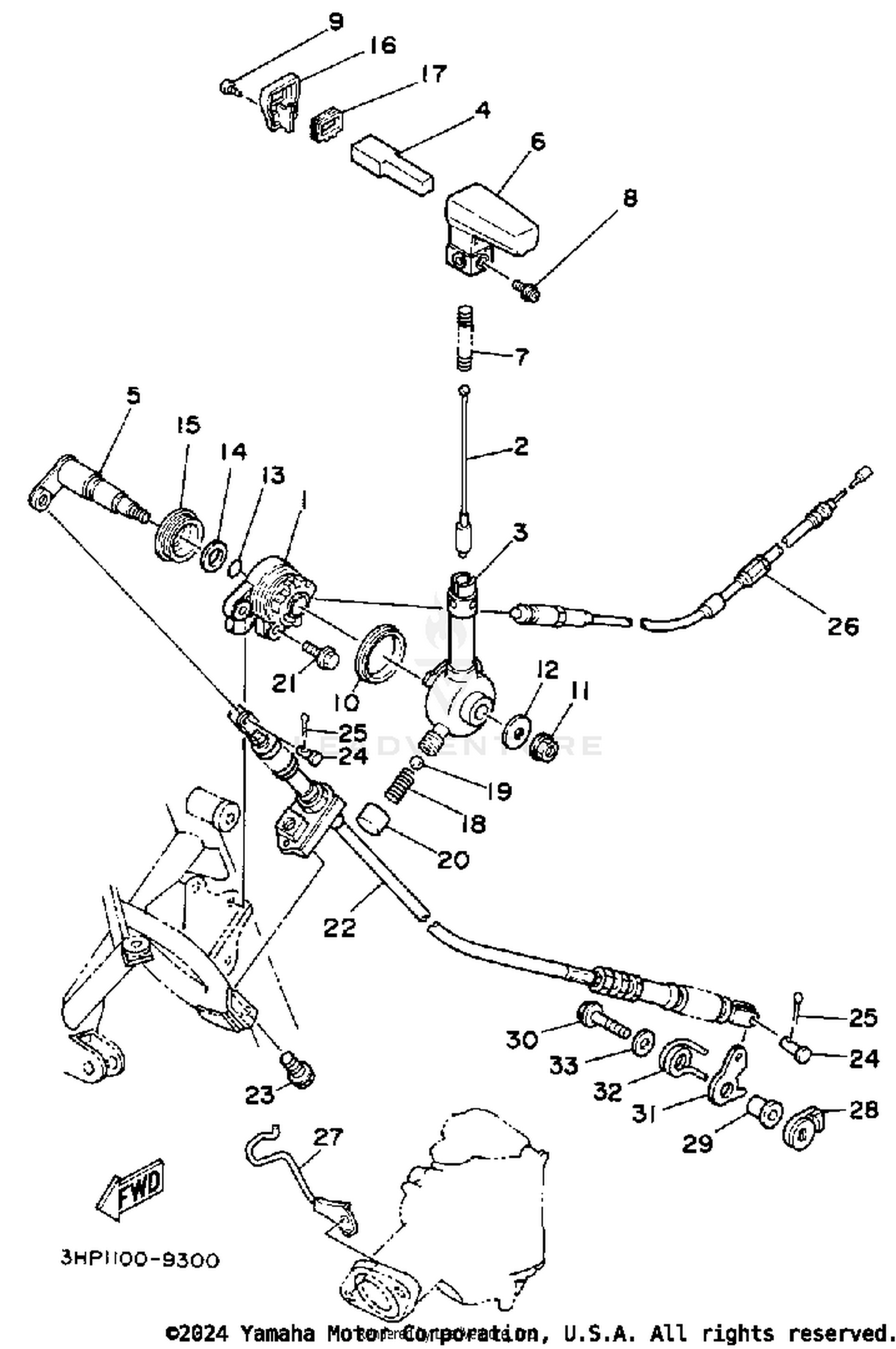 REVERSE LEVER