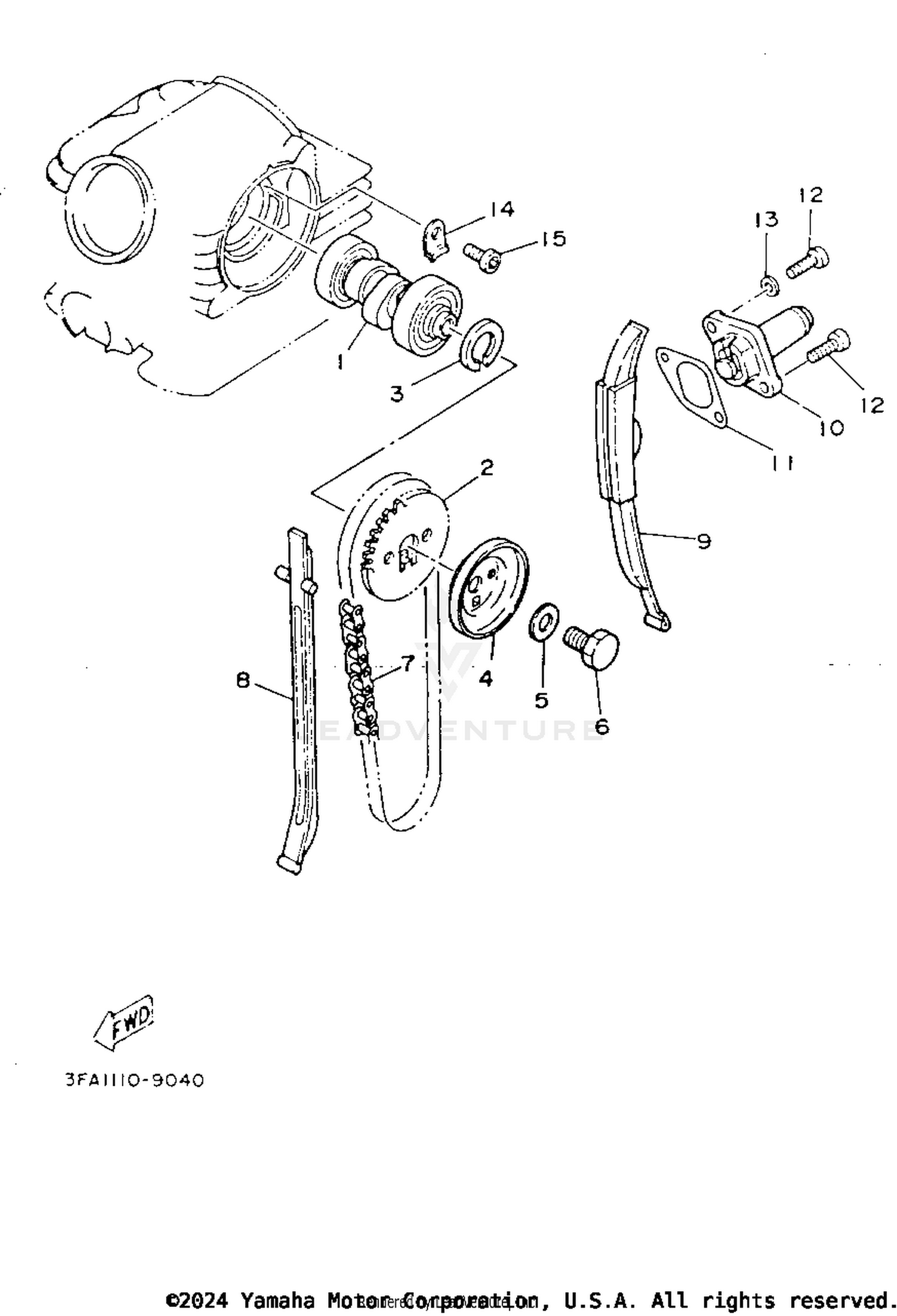 CAMSHAFT - CHAIN