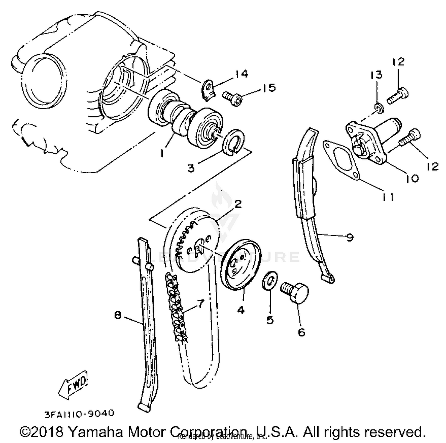 CAMSHAFT - CHAIN