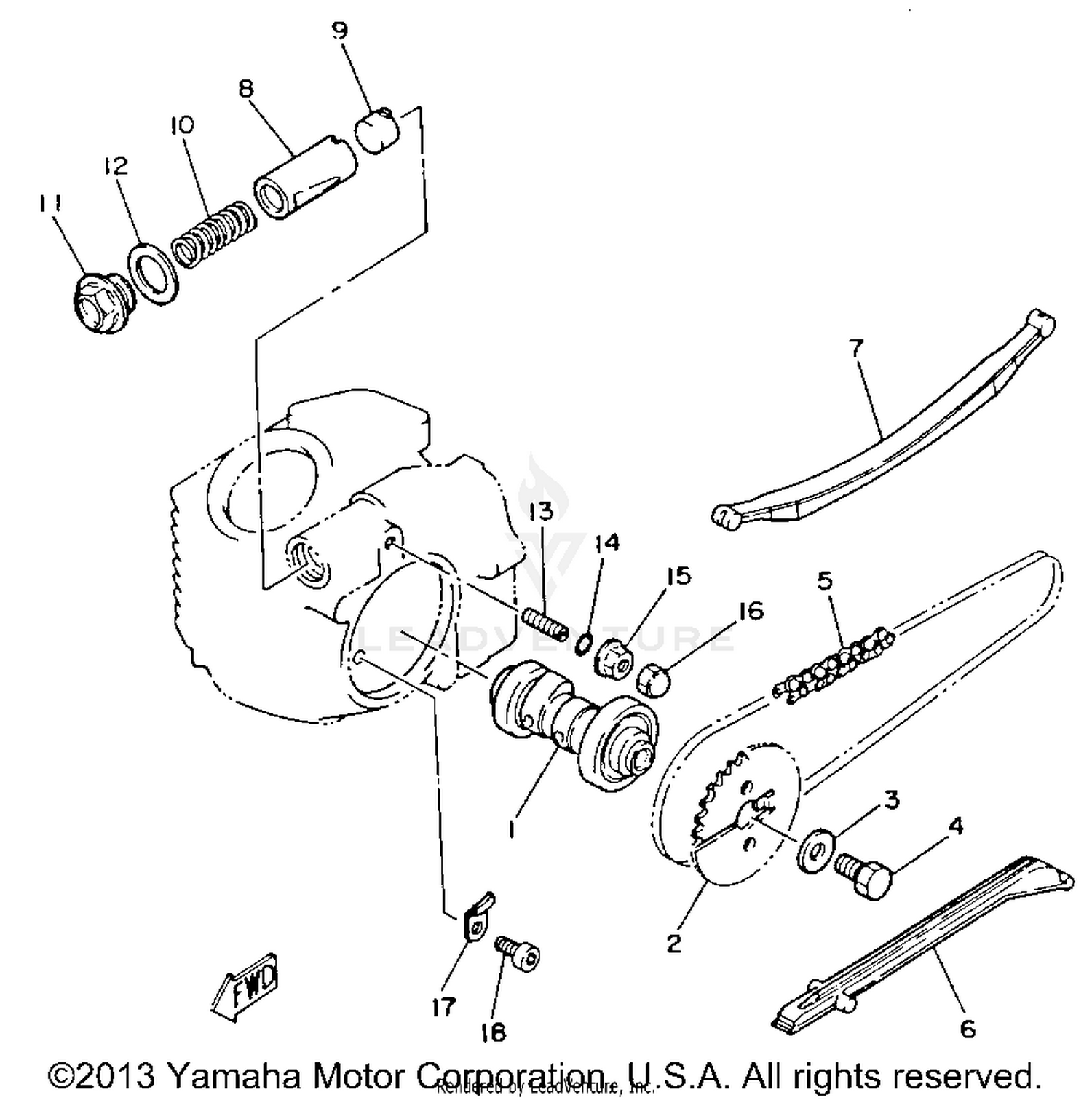 CAMSHAFT - CHAIN