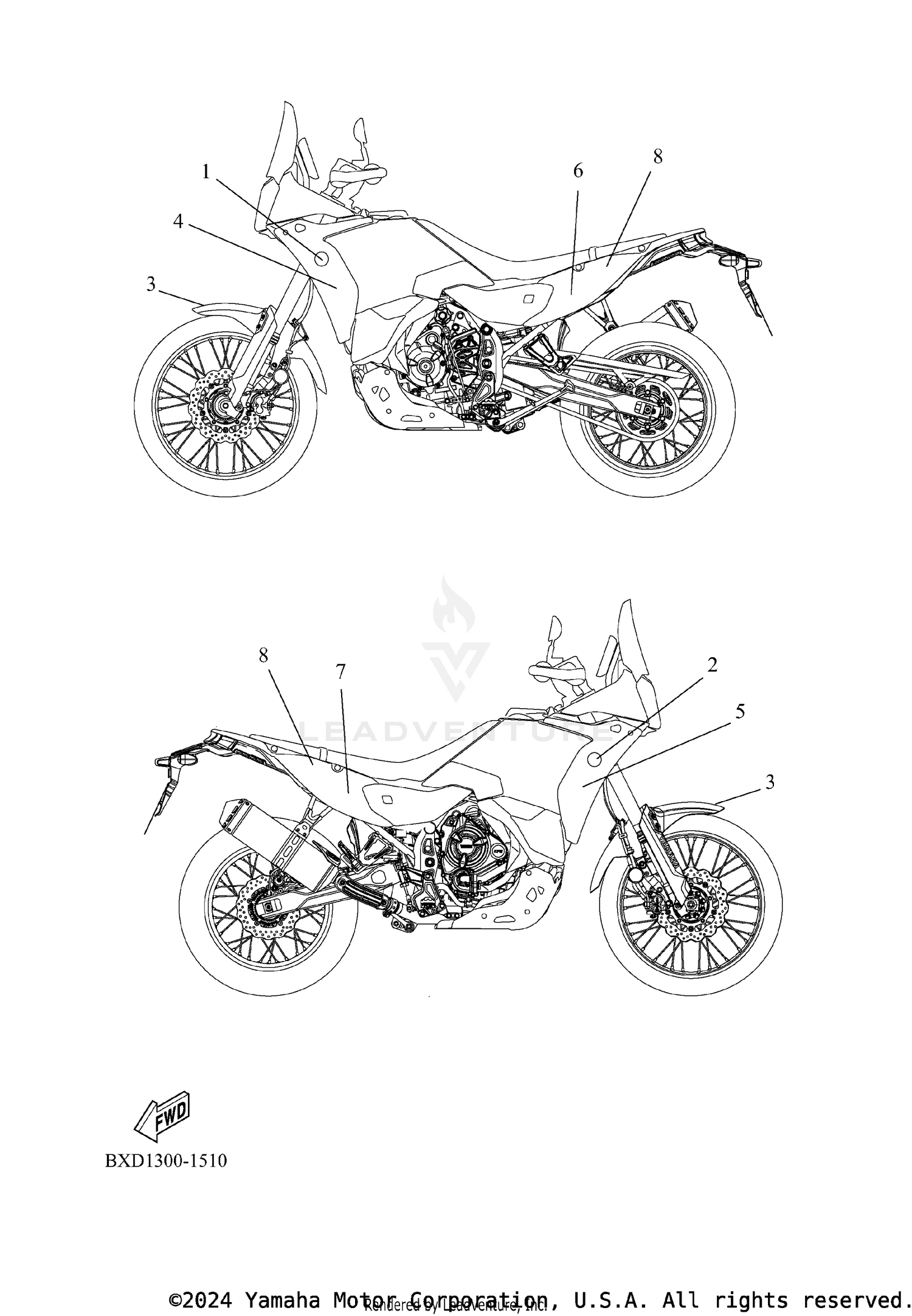 GRAPHIC & EMBLEM