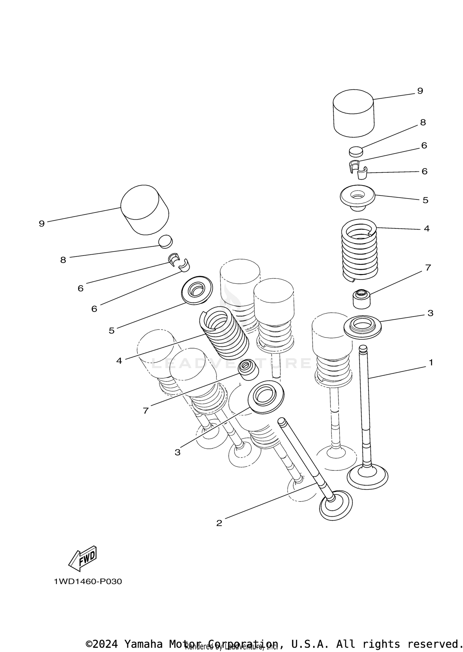 VALVE