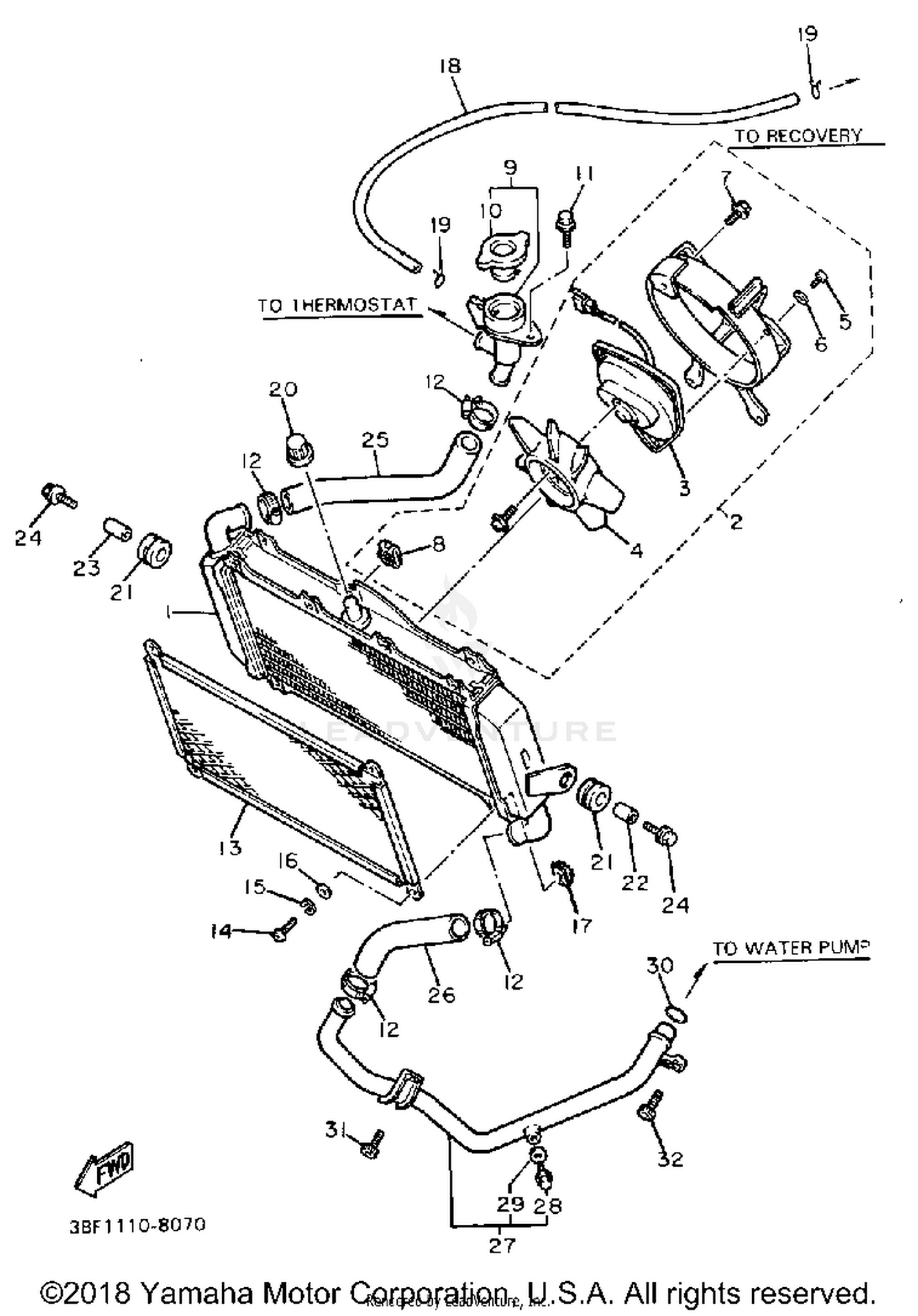 RADIATOR HOSE